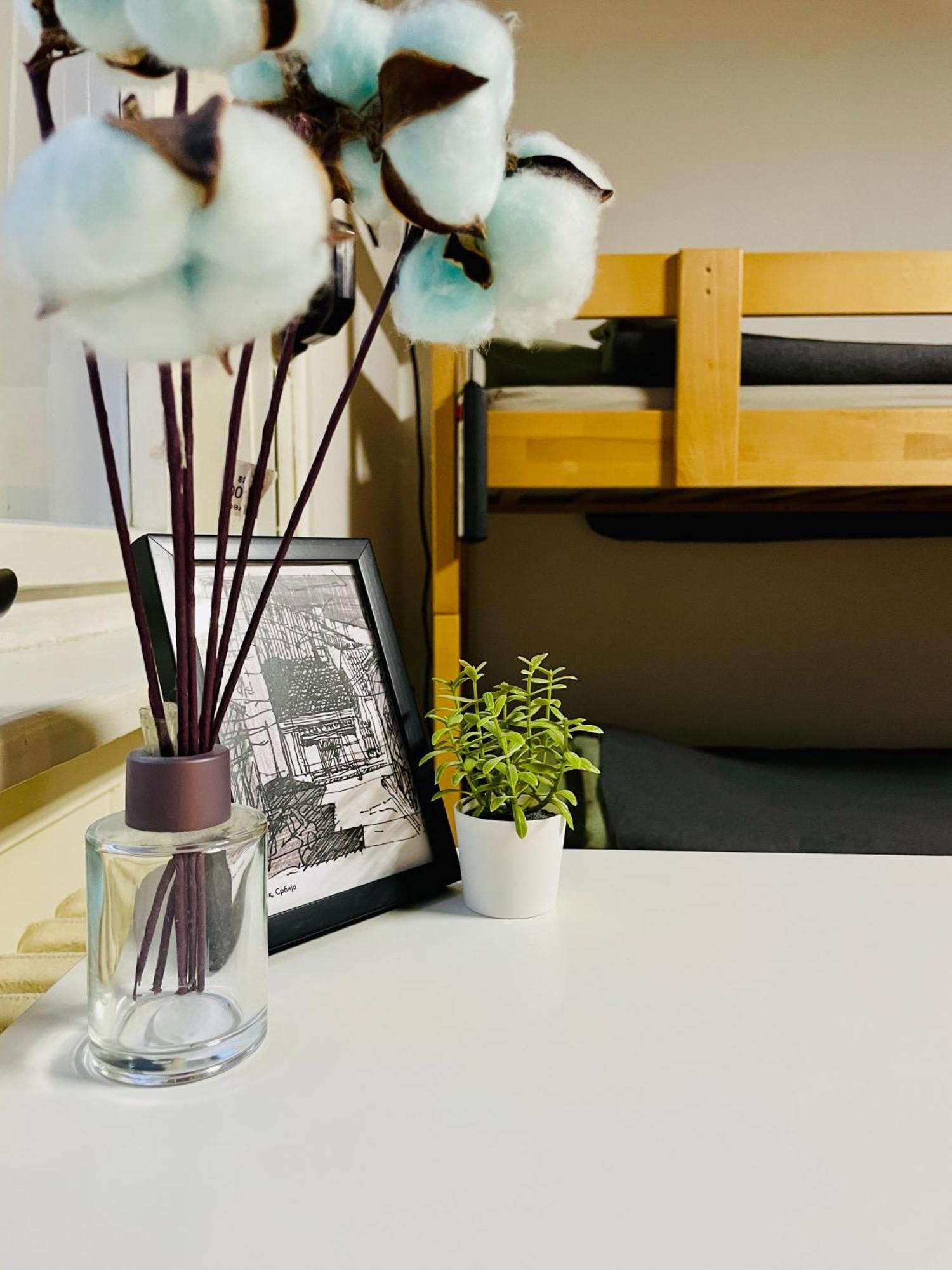 Hostel Stari Grad Novi Sad Eksteriør billede